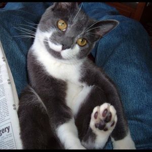 Meet your Posher, Maureen